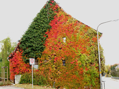 Stuttgarter Straße 29