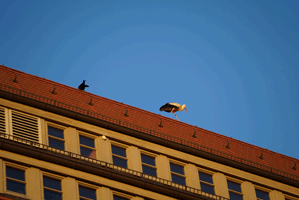 Steinhaus