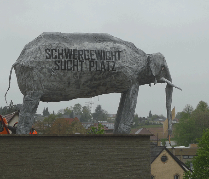 Maischerz 2015